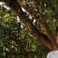 Profile picture of P. Muthukumar